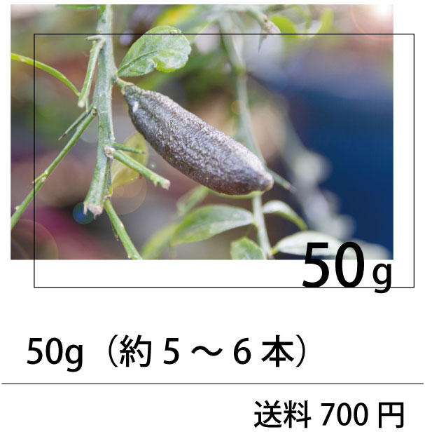 フィンガーライム50g